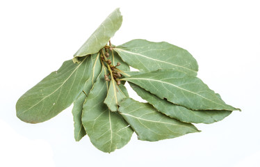 Aromatic Bay leaves (laurel) isolated over white background