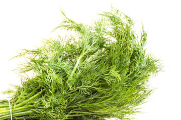 Fresh branches of green dill isolated on white background.