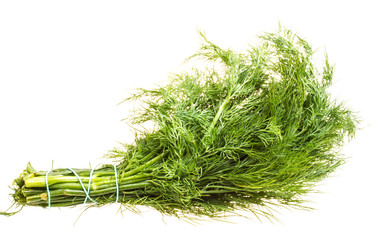 Fresh branches of green dill isolated on white background.