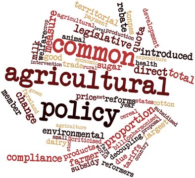 Word cloud for Common Agricultural Policy