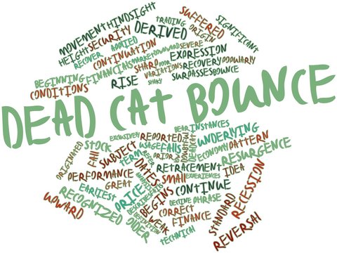 Word cloud for Dead cat bounce