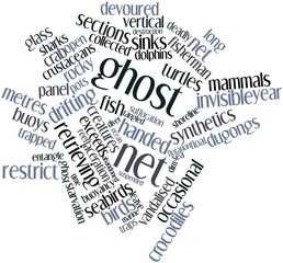 Word cloud for Ghost net
