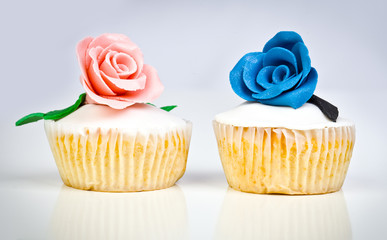 Colorful Cupcakes