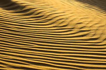 Sand texture