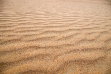 sand texture
