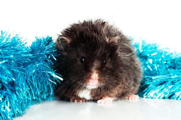 black hamster with christmas gerland