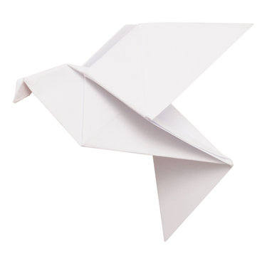 origami dove