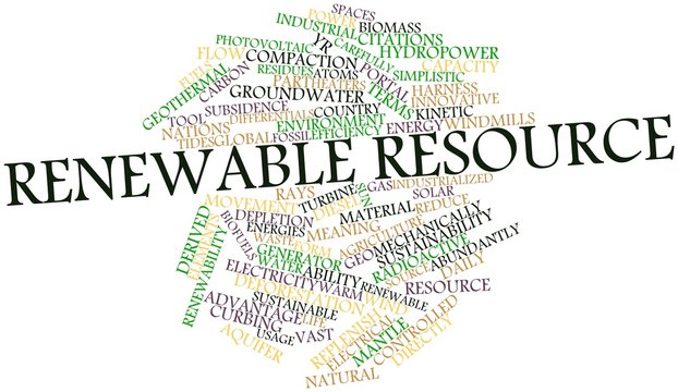 Word cloud for Renewable resource