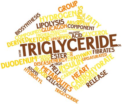 Word cloud for Triglyceride