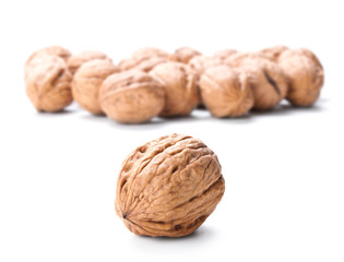 walnuts isolated on white
