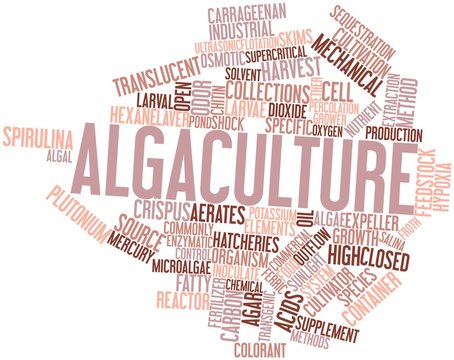 Word cloud for Algaculture