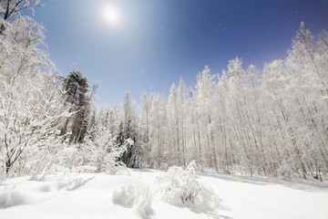 Snowy scenery in bright moonlight