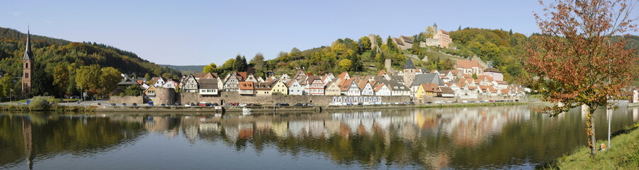 Fototapeta na wymiar Hirschhorn am Neckar