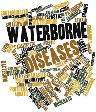 Word cloud for Waterborne diseases