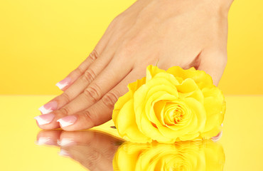 Fototapeta premium Yellow rose with woman's hand on yellow background