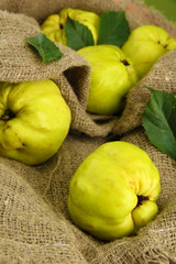sweet quinces with leaves, on burlap background