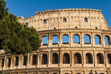 Fototapeta premium Colosseum in Rome, Italy