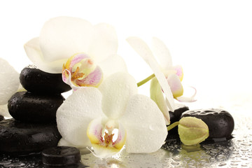 Fototapeta na wymiar Spa kamienie i kwiaty orchidei, na białym tle.