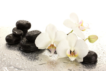 Obrazy na Plexi  Spa kamienie i kwiaty orchidei, na białym tle.