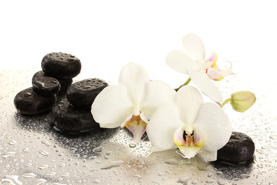 Fototapeta Spa stones and orchid flowers, isolated on white.