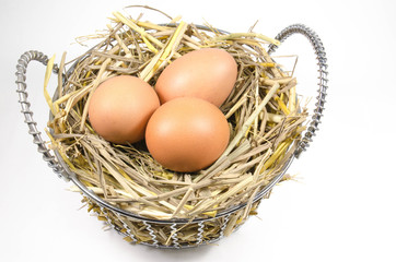 nest with eggs in basket on white background