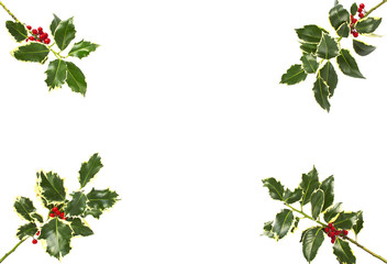 Holly leaf sprigs with red berries