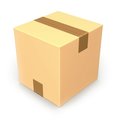 Carton package ready for Your Design.