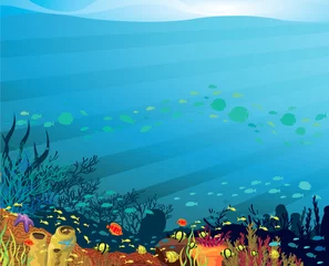 Selbstklebende Fototapeten Unterwasserleben © Natali Snailcat