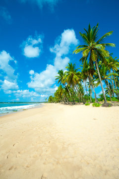 Fototapeta Tropical beach