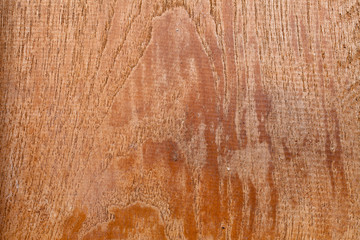 Wood Texture