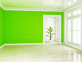 Fototapeta na wymiar zielonych roślin w pustym pokoju w pobliżu okna