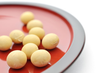 大豆　和食器　白バック