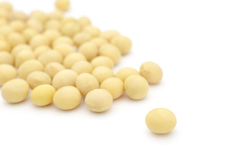 大豆　たくさん　白バック