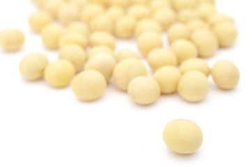 大豆　たくさん　白バック