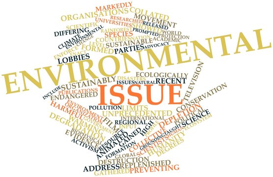 Word cloud for Environmental issue