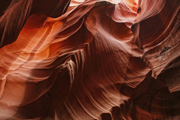 Antelope colorful Patterns of Navajo Sandstone from Slot Canyons