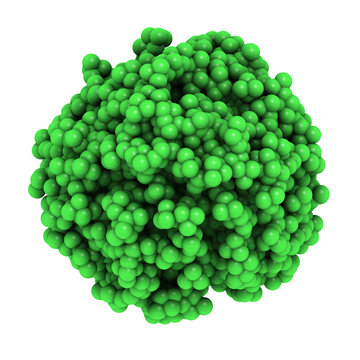 Carbon tetrachloride (CCl4, carbon tet) molecules, liquid sphere