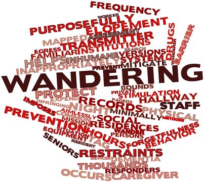 Word cloud for Wandering