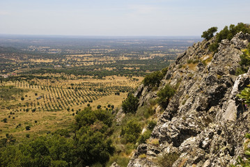 Fototapeta na wymiar Dry landscape of Alentejo, Portugal