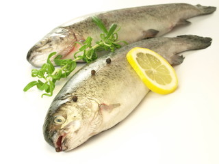 Fresh fish, isolated