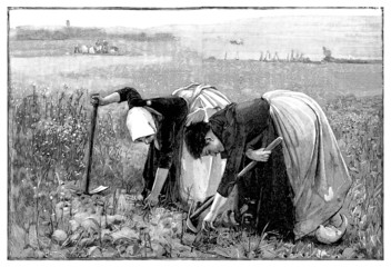 Women : Peasants - Paysannes - 19th century