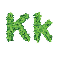 Vector eco alphabet letter K made from green leaves