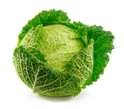 Ripe Savoy cabbage isolated on white