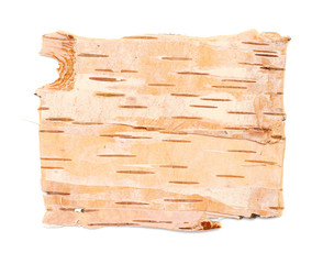 birch bark texture