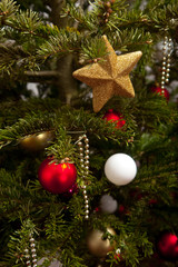 christmas fir-tree decorated with gold and red balls