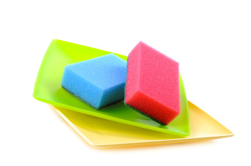 Dish sponge and plates