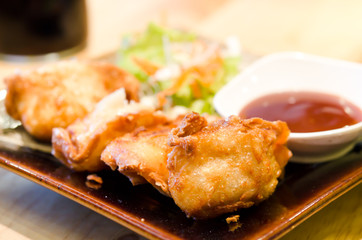 Deep Fried Wonton