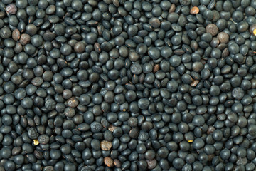 Backdrop of Black Lentil