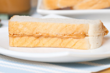 peanut butter sandwich