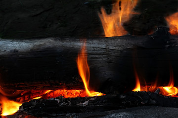 bonfire